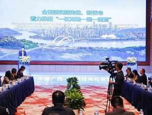 【京桂商动态】商会受邀参加中国广西—东盟桂商经贸联谊交流会