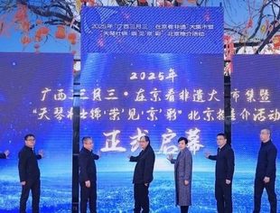 【商会动态】北京广西企业商会代表参加2025“‘广西三月三 在京看非遗’”系列活动