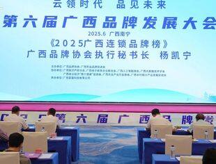共绘“桂字号”品牌升级新蓝图---第六届广西品牌发展大会圆满落幕