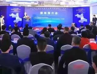 广西百色重点开发开放试验区举行招商推介会 聚焦现代服务等领域合作