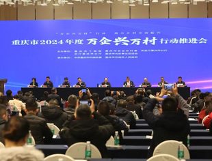 【新闻动态】商会党委委员、理事韩超参加重庆市2024年度“万企兴万村”行动推进会