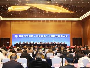 【商会动态】商会党委书记、会长李桂云参加重庆市工商联（市总商会）六届四次执委会议