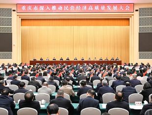 【商会动态】商会党委书记、会长李桂云参加重庆市深入推动民营经济高质量发展大会