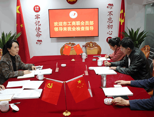 【商会动态】市工商联会员部来我会检查指导工作
