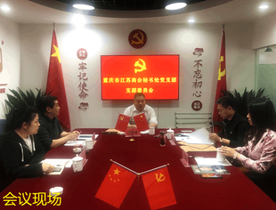 中共重庆市江苏商会秘书处支部委员会议顺利召开
