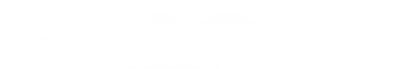 kong.png