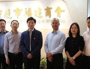 福建省人民政府驻上海办事处主任陈福民莅临商会交流指导