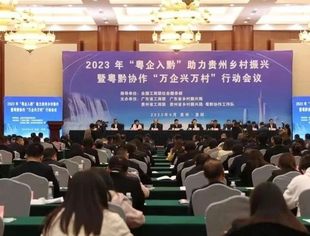 2023年“粤企入黔”助力贵州乡村振兴暨粤黔协作“万企兴万村”行动会议隆重举行