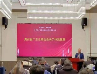 情系粤海  心连故乡