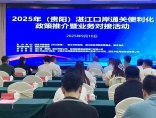 2025年湛江口岸通关便利化政策推介暨业务对接会顺利召开