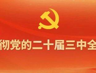 学习贯彻党的二十届三中全会精神│张强：推动文化演艺事业高质量发展