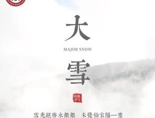 大雪至，冬意浓