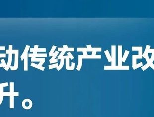 事关新质生产力！2025年最新安排