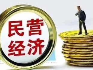 持续优化营商环境！贵州全力推动民营经济不断发展壮大
