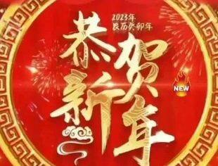 广西四川商会郎云燕会长新春祝福