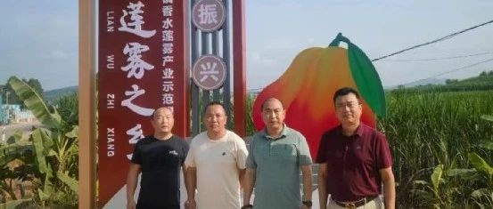 广西四川商会郎云燕会长率队考察中国香水莲雾之乡