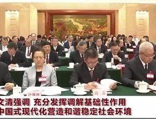 陈文清强调 充分发挥调解基础性作用 为中国式现代化营造和谐稳定社会环境