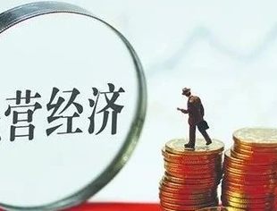 三中全会有个大亮点：让有能力民企牵头国家重大技术攻关任务