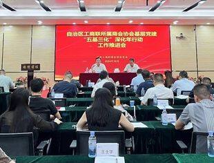 广西四川商会党支部书记谭克荣出席自治区工商联所属商协会基层党建“五基三化”深化年行动工作推进会并作交流发言
