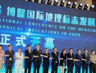 广西四川商会联合举办的第二届博鳌国际地理标志发展大会在海南盛大召开