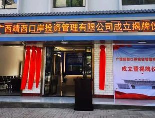 搭建高水平对外开放平台  推动口岸经济高质量发展——广西靖西口岸投资管理有限公司正式成立