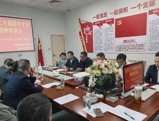 党建引领明方向 法治护航促发展 —— 广西四川商会党支部专题学习党的二十届四中全会精神暨法制讲座圆满举办