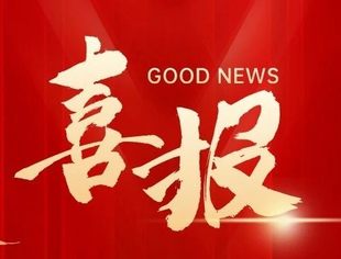 喜报 |山东省重庆商会荣获山东省工商联“2022年度优秀直属商会”