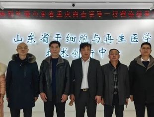 山东省重庆商会开展12月份会员集中走访活动