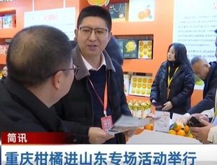 鲁渝情深，“橙”果丰硕！山东省重庆商会受邀参加2024年重庆柑橘进山东专场推介活动