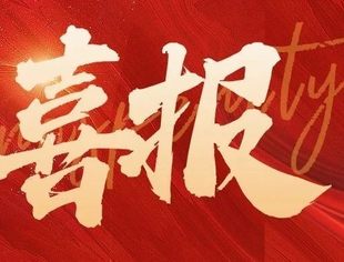 喜报！山东省重庆商会党支部被评为五星级党支部