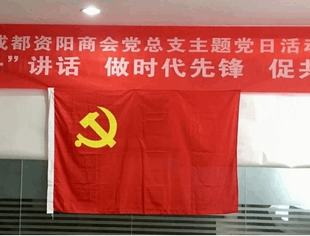 友会动态---成都资阳商会党总支举办“‘学七一’讲话 做时代先锋 促共同富裕”主题党日活动