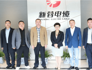 遂宁蓬溪县经合局李智斌书记一行走进新蓉电缆考察