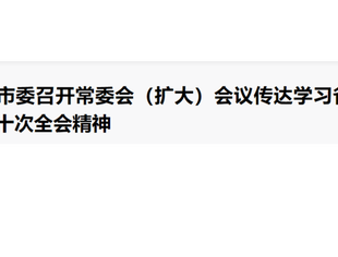 遂宁市委召开常委会（扩大）会议传达学习省委十一届十次全会精神