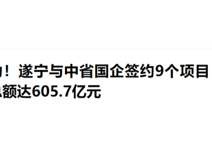 给力！遂宁与中省国企签约9个项目，投资总额达605.7亿元