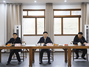 名誉会长闫荣富等出席安居区在外成功人士暨高层次人才新春座谈会