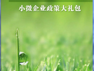春雨润苗——小微企业政策大礼包