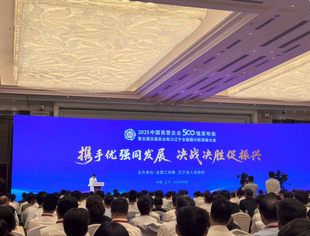 【政企交流】辽宁省重庆商会参加2025中国民营企业500强发布会