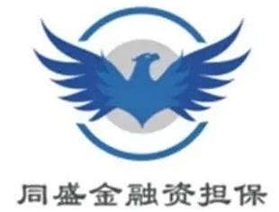 【会员企业】辽宁同盛金融资担保股份有限公司（执行会长单位）