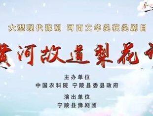 黄河故道梨花开，一曲豫剧唱宁陵