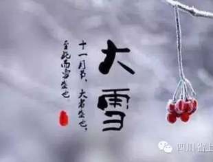 今日大雪
