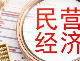 关于学习贯彻《民营经济促进法》助力民营企业高质量发展的倡议书