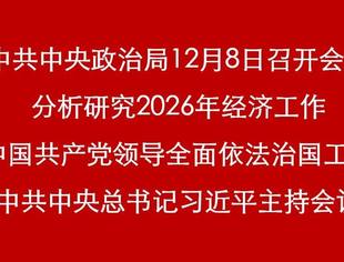 聚焦九大关键词,抢抓“十五五”新机遇——学习贯彻中央经济工作会议精神
