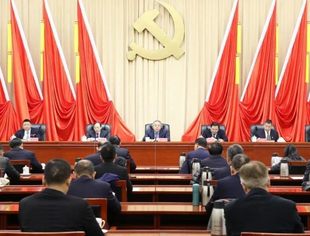 江西省陈设艺术协会党支部参加中共江西省工业和信息化厅行业综合第一次代表大会