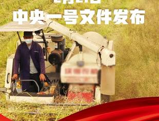 2021年中央一号文件来了，提出这些硬举措！