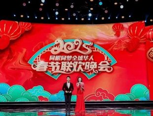 会企动态I 副会长单位——岩霸同根同梦荣登2025全球华人春晚