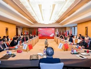 会企动态|“企业稳健出海 专业保驾护航”座谈会在京成功举办