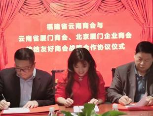 缔结友商，共赢发展|北京厦门企业商会与福建省云南商会、云南省厦门商会缔结友好商会