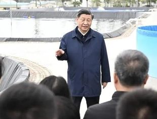 总书记四次考察广东蕴含深意