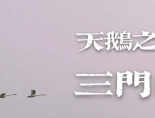 ​市委常委会会议召开