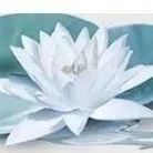 省工商联公开信:积极为全省经济平稳发展作贡献